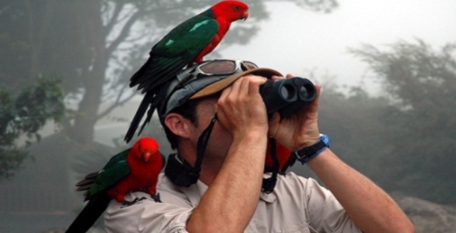 День наблюдения за птицами. Фото: guiasulturismo.com.br