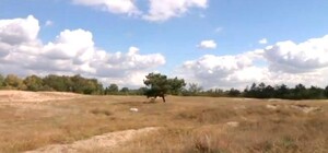 Проклятие Игрени: почему люди считают место 