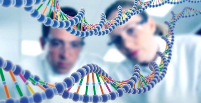 Людей с двумя одинаковыми ДНК не существует. Фото: yp.ru
