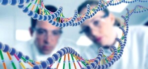 Сколько стоит и где сделать тест ДНК в Днепропетровске