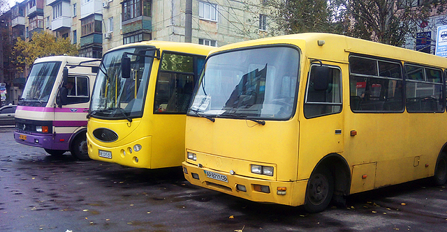 Новые городские автобусы. Фото: Денис Моторин