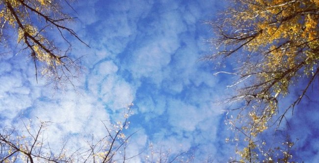 На небе целый день будут облака. Фото: Аида Исмаилова