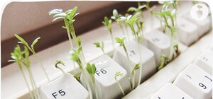 Где купить в Луганске 100% натуральные продукты?