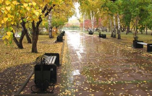 Осень. Дождь. Фото: f1.foto.rambler.ru
