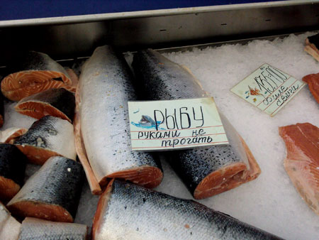 Рыбу сейчас покупать нежелательно. Фото с сайта blog.pustovit.com.