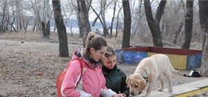 Коммунальщики поставят домашних животных на учет