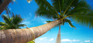 Вместо снега - горячий песок, вместо елки – пальма: как крымчане зимуют в Гоа