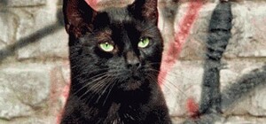 Пятница 13-е: суеверия и ТОП ужастиков на вечер