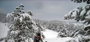 Обстановка на Ай-Петри: снег для катания есть, но проехать невозможно