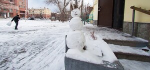 Зима пришла в Днепропетровск или парки Глобы и Шевченко в снегу