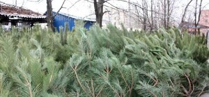 Как проверить купил 