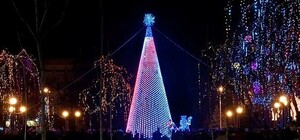 Сегодня с фейерверком откроют губернаторскую елку