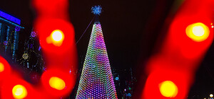 Открытие Губернаторской елки: конный Дед Мороз и салют