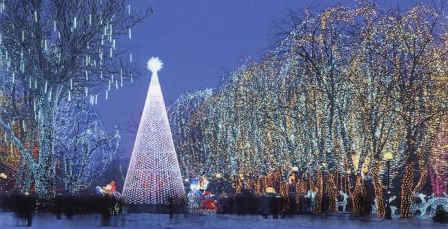 В Днепропетровске открыли губернаторскую елку