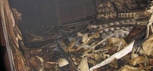 Фотофакт: как горел магазин стройматериалов на Анголенко