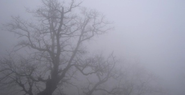 С утра возможен туман. Фото с сайта ukraineinfo.net