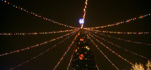 В парке Глобы открыли главную елку Днепропетровска