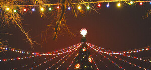 Народные гуляния в Днепропетровске: пловная в сквере Ленина и лысый ежик на елке