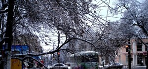 Фотоподборка последствий стихии в Одессе: деревья попадали на машины и дома