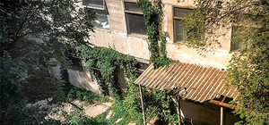 Голоса стен и запахи прошлой весны – безумный мир Vanishing Soil в фотографиях