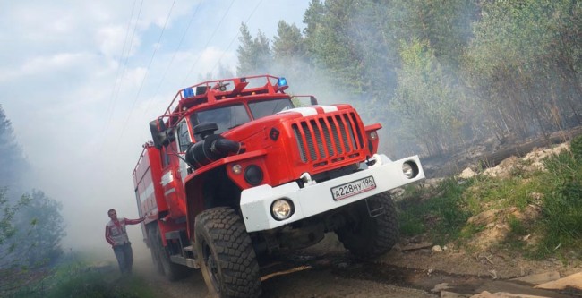 Въезд в леса запретят, если пожары будут продолжаться. Фото с сайта vz.ua