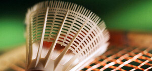 В Харькове пройдет турнир по бадминтону с призовым фондом 15 тысяч  долларов