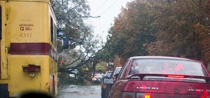 Проспект Карла Маркса завалило деревьями