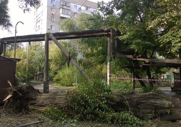 Новость - События - Что натворил ураган в обычном дворе в центре Днепропетровска