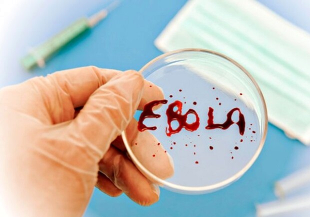 Вирус Эбола вышел за пределы Африки. Фото с сайта earth-chronicles.ru