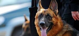 Як у Львові охоронятимуть вокзали та аеропорт