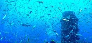 В Крыму собираются затопить украинские суда для привлечения туристов