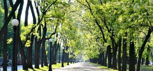 Ко Дню города реконструируют проспект Карла Маркса