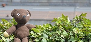 Прочитано о Харькове: что пишут и говорят о городе утром 9 июля