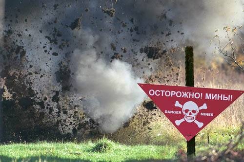 Новость - События - Возле кафе в Воронцовском парке нашли мину