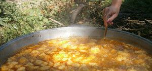 На фестивале под Полтавой кормили борщом со странным ингредиентом