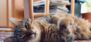 Планируй отдых: в октябре киевлян ждет дополнительный выходной