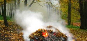 Учень з Львівщини довів, що біогаз можна добувати з опалого листя