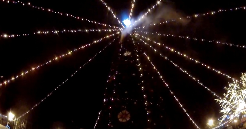 Новость - События - В парке Глобы загорелась главная елка: видео