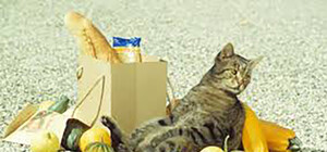 Полно продуктов и нет очередей: в Севастополе опровергли слухи о дефиците