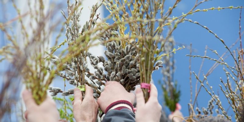 Новость - Досуг и еда - Сегодня православные христиане празднуют Вербное воскресенье