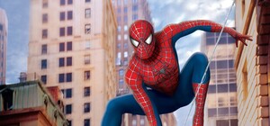 Паутины не хватило: ребенок представил себя человеком-пауком и выпал из окна