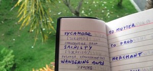 Качаем Level: ТОП мест, где в Харькове можно бесплатно изучать иностранные языки