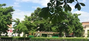 На Яворницкого ретро-трамвай сошел с рельсов