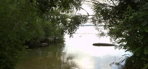 В Днепре хотят облагородить еще один остров: узнай, какой