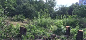 В парке ДНУ пилят сквер под жилой комплекс и церковь