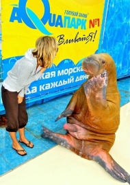 В Ялте Лобода 