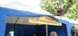 В центре Харькова пройдет праздник меда