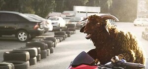 Овцы и бараны: одесситы высмеяли хамов на дорогах