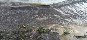 Лучше не купаться: как выглядит пляж в Приднепровске сегодня