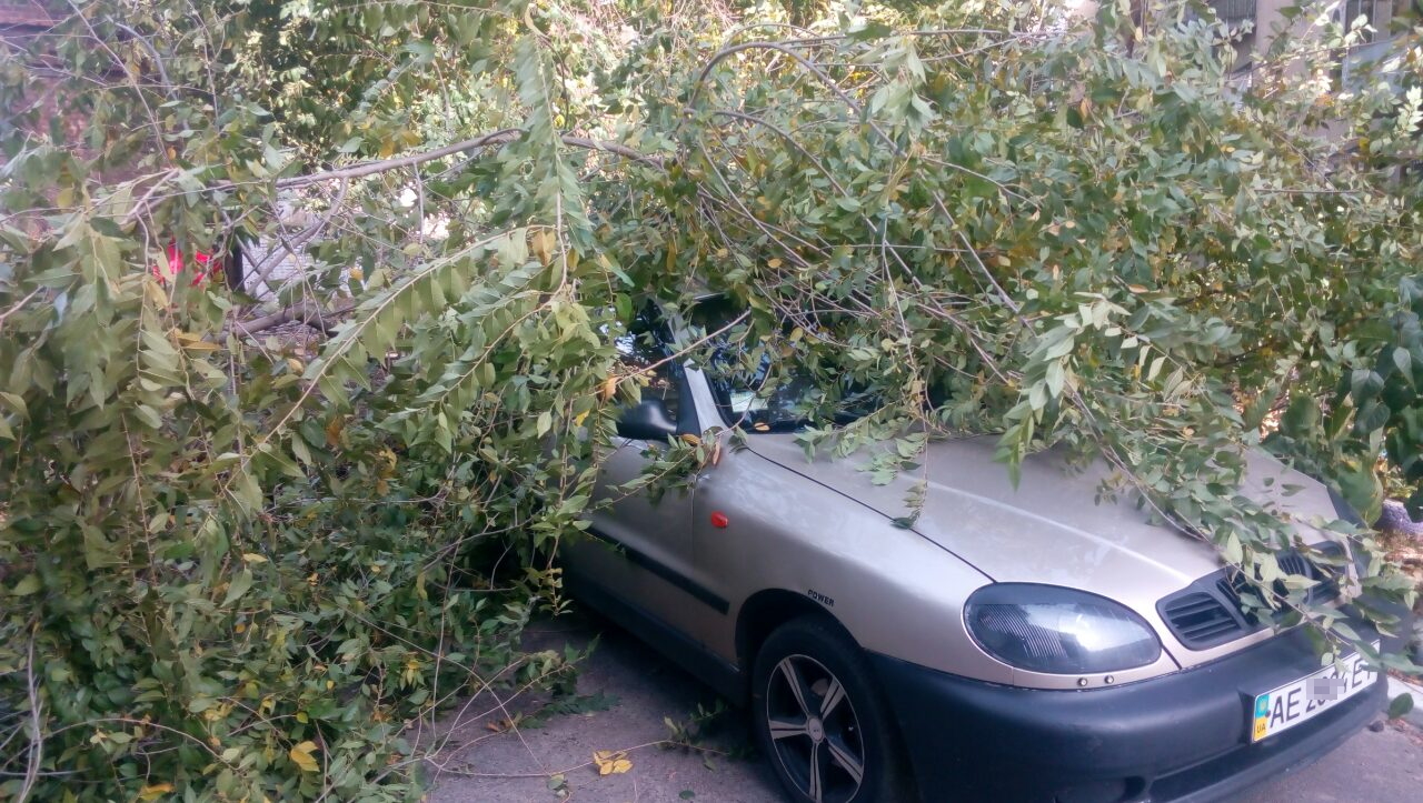 Фото полиции